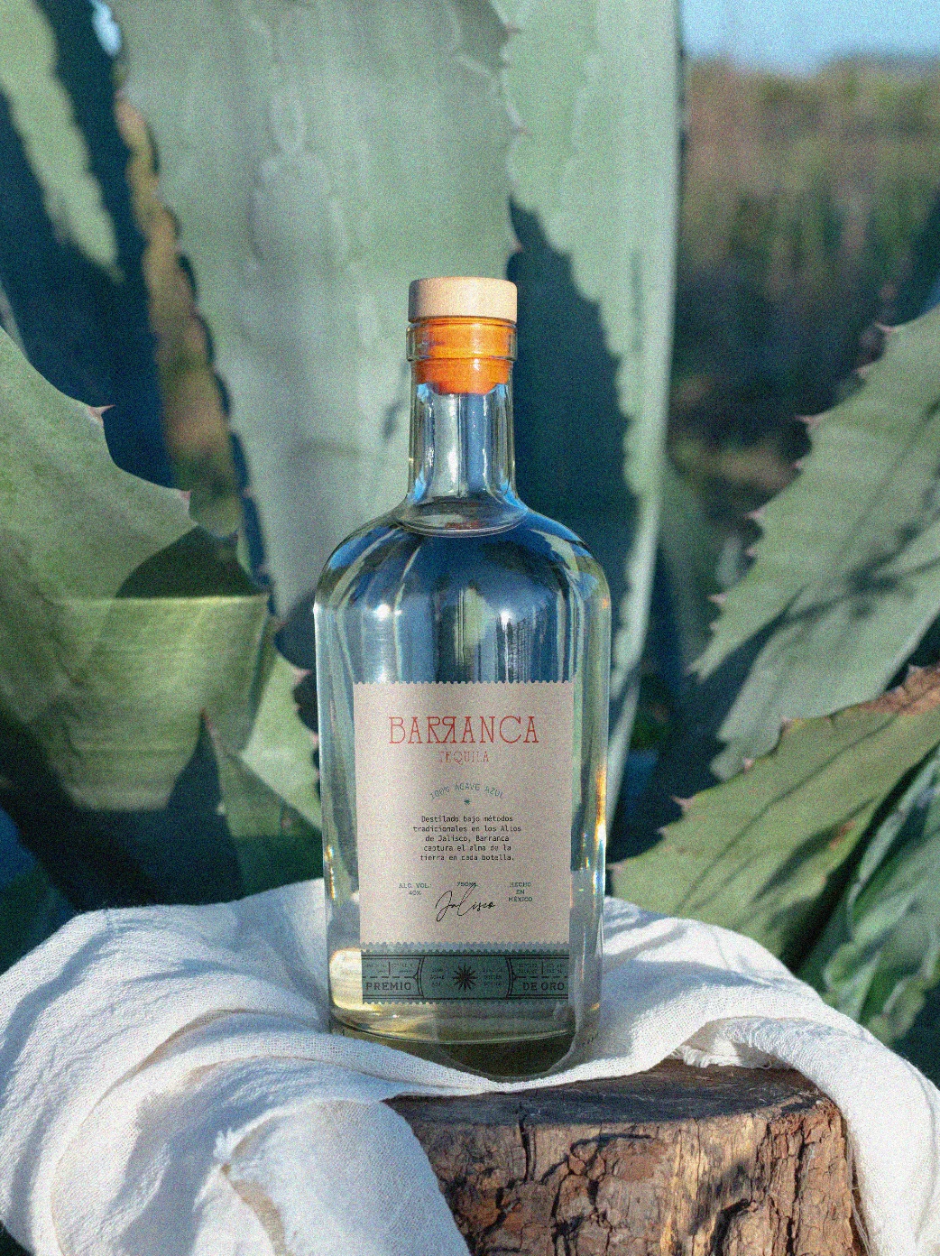 Captura de Pantalla 2026-02-13 a la(s) 16.05.05.png